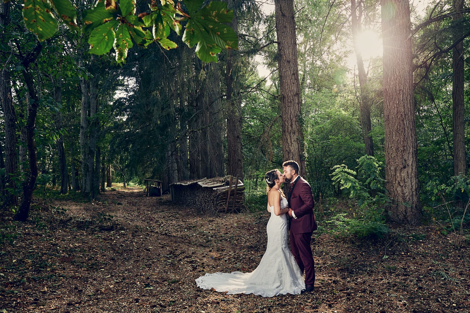 A couple standing small among very tall trees on a floor of fallen leaves